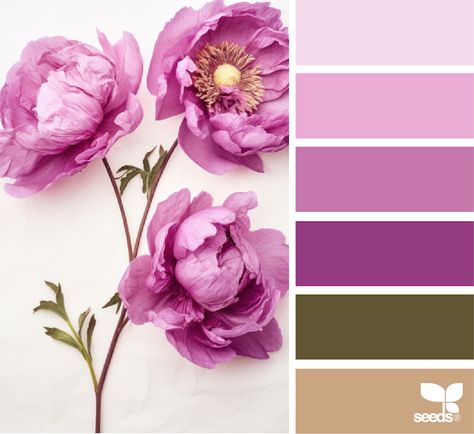 Peonies Color Palette, Peony Flower Color Palette, Flower Color Palette Colour Schemes, Pink Floral Color Palette, Pink Garden Color Palette, Inspiration Color Palettes, Outdoor Paint Colors, Colour Crush, Coloring Journal