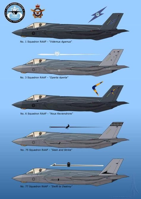 RAAF F-35/A Lightning II F 35 Lightning, Fighter Planes Art, F 35 Lightning Ii, Australian Defence Force, Tactical Truck, Royal Australian Air Force, Stealth Aircraft, Pilot Training, Us Military Aircraft