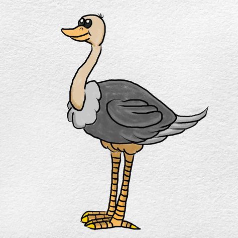 *FR*Ostrich Drawings & Sketches For Kids Ostrich Sketch, Drawing Sketch For Kids, Ostrich Drawing, Sketches For Kids, Cute Ostrich, Baby Ostrich, Steps To Draw, Feet Drawing, Rainbow Drawing