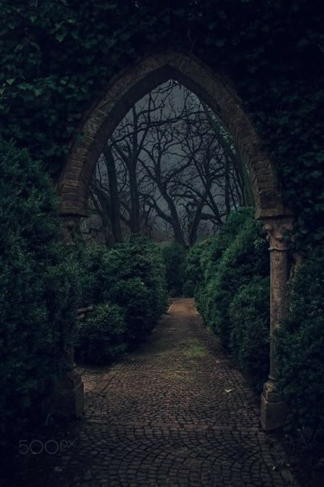 Forest Royal Aesthetic, Moody Fairytale Aesthetic, Victorian Garden Aesthetic Dark, Vampire Garden Aesthetic, Castle Garden Night, Midnight Forest Aesthetic, Hedge Maze Aesthetic Dark, Grimms Fairy Tales Aesthetic, One Dark Window Rachel Gillig Aesthetic