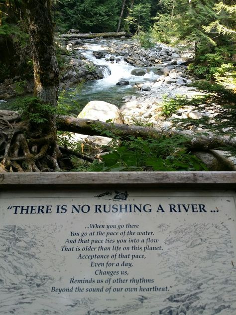 Near Deception Falls, Washington Planets, Washington, Water, Travel