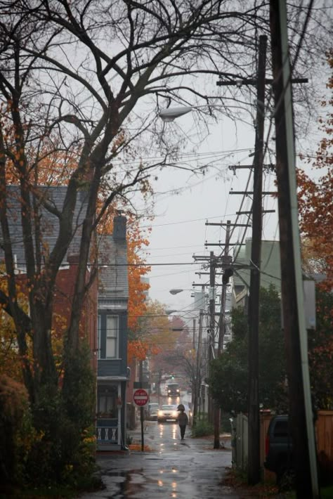 Frederick, Maryland alley life. And what wonderful alleyways they were, too! Creepy Town, Town Scenery, Maryland Photography, Crimson Clover, Photos Landscape, Frederick Maryland, Baltimore City, New England Travel, Urban Aesthetic