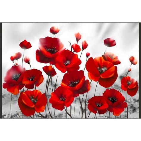 Papier peint coquelicots au de lune Couleur blanc et rouge Artgeist | La Redoute Mural, Flowers, Floral, Red, Black