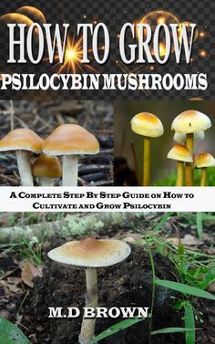 Psychoactive Plants, Psilocybin Mushrooms, Growing Mushrooms At Home, Mushroom Benefits, Mushroom Grow Kit, Mushroom Cultivation, Garden Mushrooms, Edible Mushrooms, Wild Mushrooms