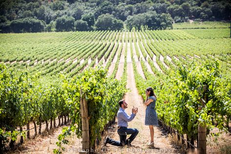 Napa Proposal, Vineyard Proposal, Wedding Proposal Ideas Engagement, Global Entry, Engagement Stories, Proposal Photography, Romantic Proposal, Engagement Inspo, Yarra Valley