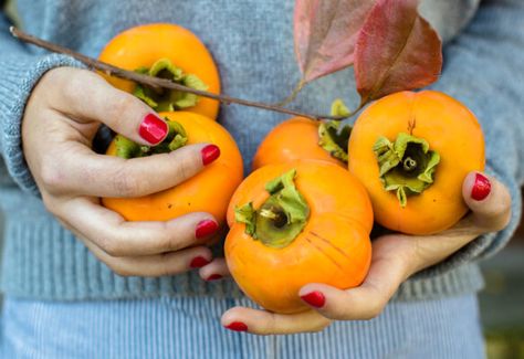 The Health Benefits of Persimmon Fruit, One of Nature’s Most Remarkable Creations With a Taste Unlike Any Other Persimmon Benefits, Grilled Salmon Salad, Persimmon Fruit, Fruit Benefits, Fruit Roll Ups, Cleanse Recipes, Healthy Clean Eating, Stone Fruit, Grilled Salmon