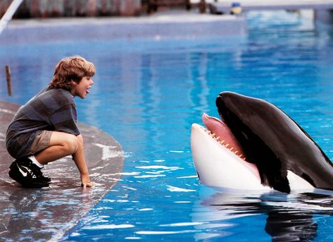 Free Willy Movie, Les Goonies, Petite Blonde, Free Willy, Orca Whale, Chad Michael Murray, 90s Movies, Orca Whales, Kids' Movies