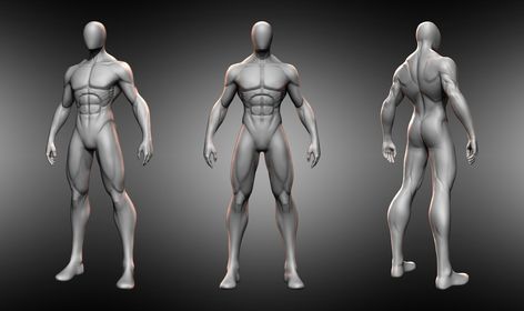 "Stylized Male Base" by Aung Ye Male Anatomy Practice, Male Base, Anatomy Practice, Male Anatomy, Time Lapse, Zbrush, In Time, Anatomy, Greek Statue