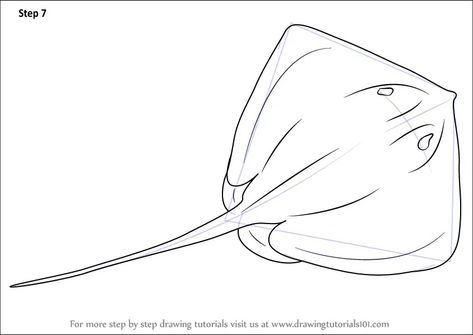 Stingray Drawing Easy, Top View Drawing, Stingray Drawing, Ray Drawing, Tattoos Cool, Watercolor Painting Easy, Animal Line Drawings, Celebrity Art Portraits, Easy Animal Drawings