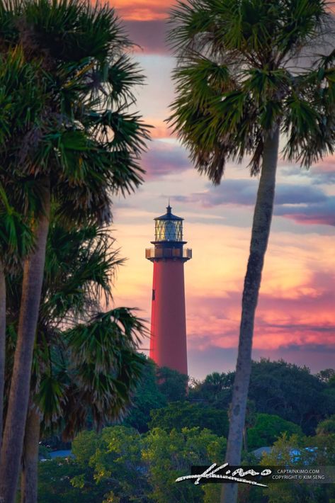 Jupiter Lighthouse, Palm Trees Wallpaper, Lighthouse Tattoo, Lighthouse Photos, Landscape Tattoo, Lighthouse Painting, Florida Photography, Drawing Stencils, Hdr Photography