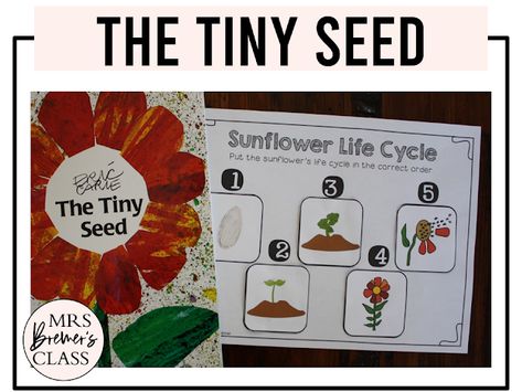 Plants Life Cycle Activities, Sunflower Life Cycle, Book Study Activities, Life Cycle Activities, Ideas For Kindergarten, Study Activities, Life Cycles Activities, Learning Stories, Parts Of A Book