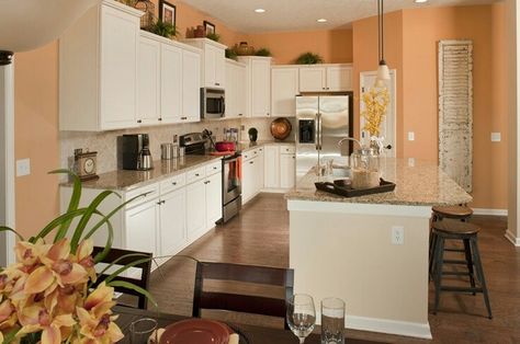 Peach kitchen walls What Colors Go With Peach, Peach And White Kitchen, Peach Colored Kitchen, Two Toned Kitchen Cabinets, Remodel Kitchen Ideas, Medallion Wall Art, Plants Pictures, Color Durazno, Kitchen Unique