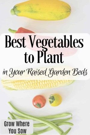 Raised Garden Beds Diy Vegetables, Vegetables To Plant, Garden Bed Layout, Best Vegetables, Vegetable Garden Planner, Building Raised Garden Beds, Metal Raised Garden Beds, Vegetable Garden Raised Beds, Building A Raised Garden