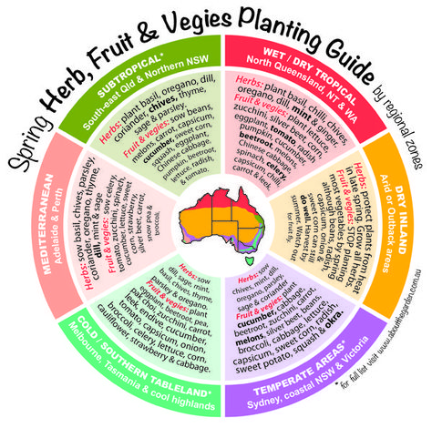 Spring Herb, Fruit & Vegies Planting Guide by temperate zones Australia.  For more http://www.aboutthegarden.com.au #grownow #vegetables #gardening Planting Guide Australia, Oregon Gardening, Flower Planting Guide, Como Plantar Pitaya, Growing Winter Vegetables, Vegetable Planting Guide, Flower Planting, Serenity Garden, Yoga Outdoor