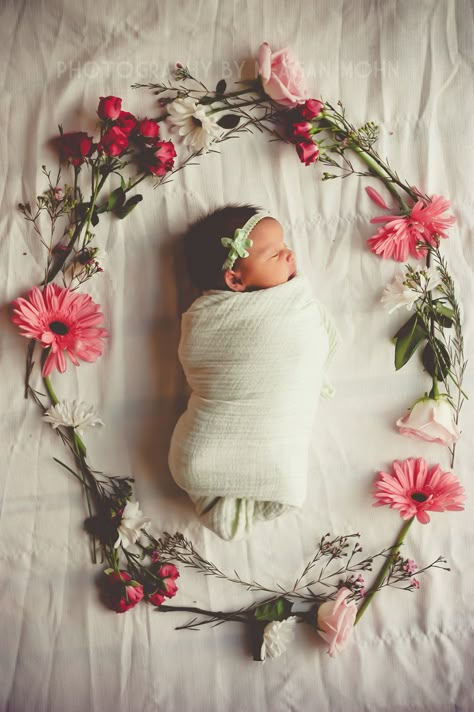 Newborn Photography With Roses, Newborn Flowers Photography, New Born Baby Girl Photoshooting Idea, Daisy Newborn Pictures, Flower Newborn Pictures, Newborn Spring Pictures, Newborn With Flowers, Newborn Photo Flowers, Flower Newborn Photoshoot