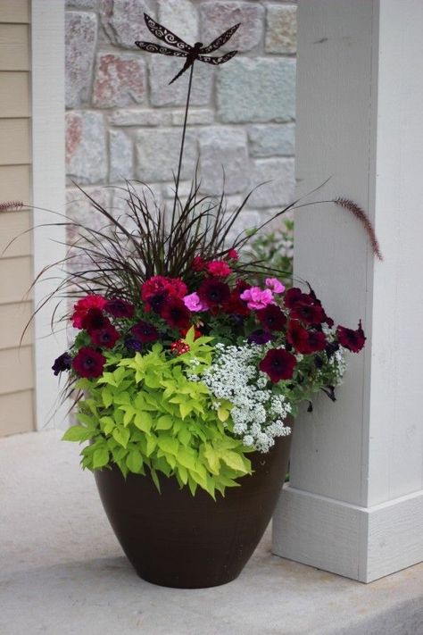 Ideas from 20 planters from my neighborhood! - Momcrieff Stunning Landscaping, Budget Gardening, Front Porch Flower Pots, Front Porch Flowers, Summer Planter, Porch Flowers, Container Garden Design, Porch Planters, Container Gardening Flowers