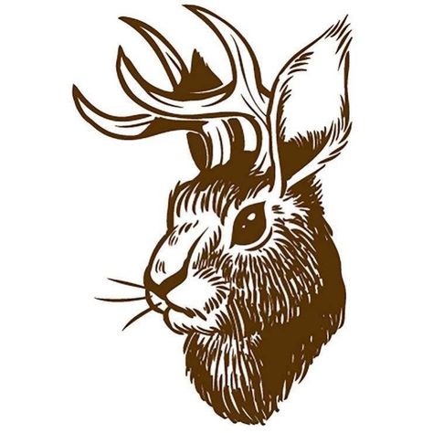 Head Drawing, Western Tattoos, Rabbit Tattoos, Drawing Heads, Hand Sketch, Vector Art Illustration, Flash Art, Free Vector Art, Animal Illustration