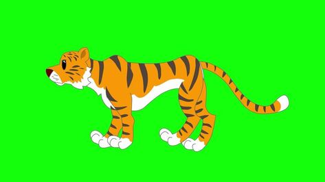 Cartoon Green Screen - Animals - Wild Tiger 2D Animation Cartoon Green Screen, Cartoon Green, Wild Tiger, Animal Character, The Cartoon, 2d Animation, Green Screen, Stock Video, Stock Footage