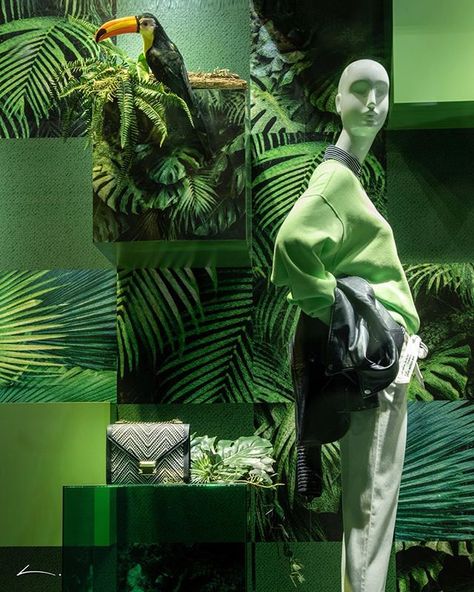 Nature Window Display, Oldenburg Germany, Unique Mannequin, Fashion Showroom, Amazon Forest, Green Windows, Old Paper Background, Free Nature, Clothing Displays