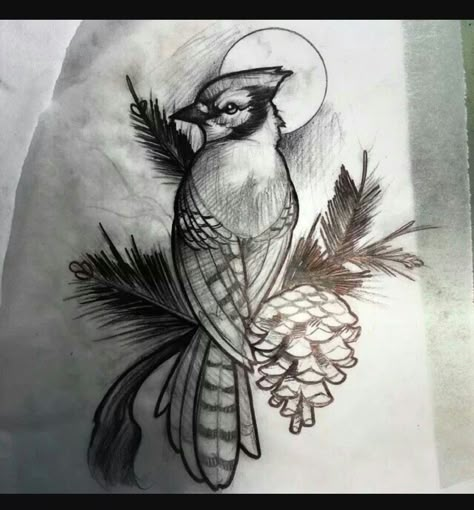 Blue Jay Tattoo Realistic, Stellar Jay Drawing, Blue Jay Sketch, Bluejay Tattoo Black And White, Blue Jay Tattoo Black And White, Jay Bird Tattoo, Jay Sketch, Blue Jay Drawing, Bluejay Tattoo