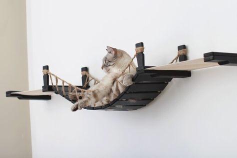 Cat Bridge, Cat Climbing Wall, Chat Diy, Cat Tree Condo, Cat Perch, Cat Hammock, Vantage Point, Cat Shelves, Sisal Rope