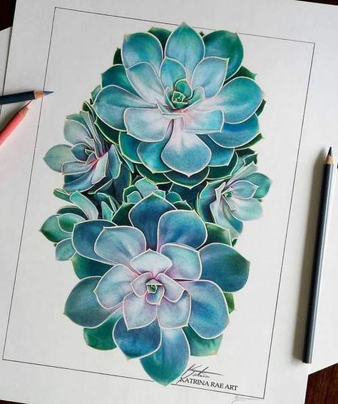 Succulent Illustration, Art Tricks, Succulents Illustration, Succulents Drawing, Watercolor Pencil Art, Succulent Painting, Pencil Drawings Of Flowers, Pencil Drawing Tutorials, Succulent Art