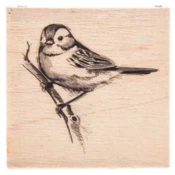 Bird Rubber Stamps, Sparrow Tattoo, Sparrow Bird, Bird Pictures, Birds Tattoo, Bird Drawings, Hero Arts, Birds Painting, Pyrography