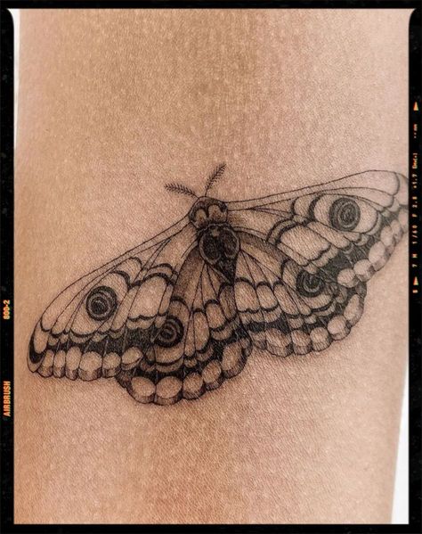 Pretty Moths Tattoo, Back Moth Tattoo Women, Bug Tattoo Men, Moth Tattoo Dainty, Mushroom Back Tattoo, Simplistic Moth Tattoo, Moth Tattoo With Color, Realism Moth Tattoo, Cool Moth Tattoo