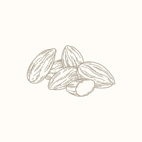 Almond Illustration Almond Tattoo Nut, Almond Illustration Design, Almond Book Aesthetic, Almond Tattoo, Almond Drawing, Almonds Illustration, Almonds Aesthetic, Almond Book, Almond Illustration