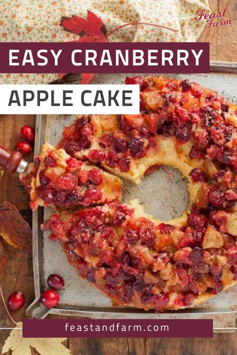 Easy cranberry apple cake is a rich, tart start to your holiday baking. Think cobbler meets pound cake and you can whip one up in no time. Cranberry Upside Down Cake Recipes, Apple Cranberry Cake, Apple Cranberry Dessert, Cranberry Upside Down Cake, Cranberry Dessert, Apple Cakes, Apple Bundt Cake, Cranberry Cake, Cranberry Apple