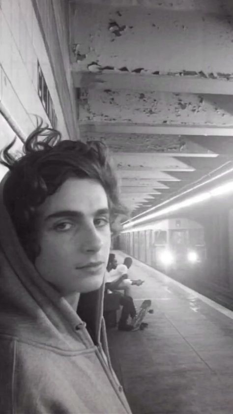 'Timothée Chalamet spotted getting groceries with his new lover' Nor… #fanfiction #Fanfiction #amreading #books #wattpad Natt Wolf, Chasing Pavements, Timmy Time, Care Less, Timmy T, Regulus Black, My Bf, Marauders Era, The Perfect Guy