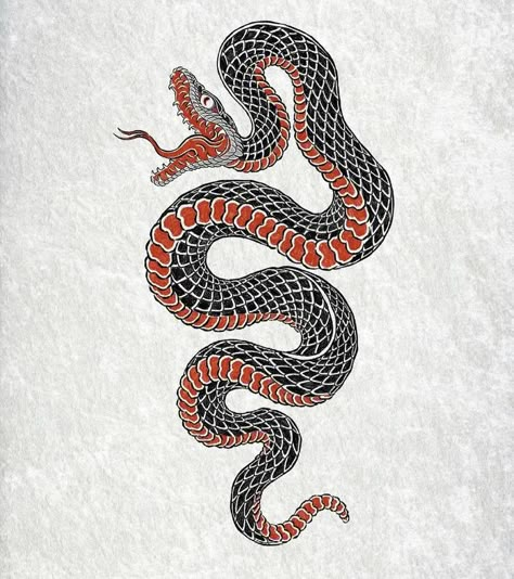 Japanese Snake, Traditional Snake, Traditional Snake Tattoo, Japanese Snake Tattoo, Cobra Tattoo, Grunge Tattoo, Snake Drawing, Web Tattoo, Japanese Dragon Tattoos