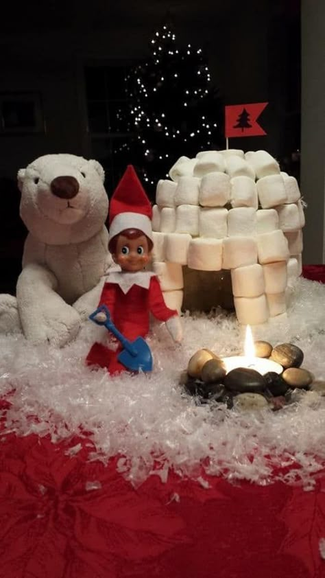 Do you have an elf visitor as a Christmas Tradition? Stay within a theme this season using fluffy white marshmallows. Follow these Elf on the Shelf Ideas with marshmallows. New ideas daily. Free Elf on the Shelf Printables and more. #marshmallows #FrugalCouponLiving #ElfontheShelf #ElfontheShelfIdeas #ElfIdeas #funnyelfideas #funnyelfontheshelf #elfprintables #freeelfprintables #printables #freeprintables #affiliate Marshmallow Igloo, Elf Printables, Elf Mischief, Elf Ideas Easy, Elf Of The Shelf, Christmas Elf Ideas, Elf Shelf, Shelf Elf, Christmas Elf On The Shelf