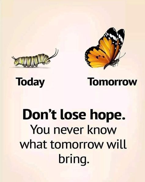 Movitational Quotes, Youth Sermons, Butterfly Blessings, Married Quotes, Tamil Motivational Quotes, Appreciate Life Quotes, Life Choices Quotes, Dont Lose Hope, Powerful Inspirational Quotes