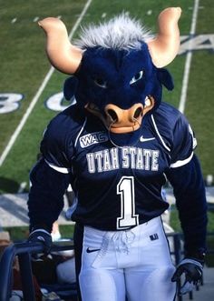 Utah State University in Logan, Utah.  The Aggies!  This is Big Blue and we love him!  Go Aggies! Bull Mascot, Football Usa, Sports Advertising, Buffalo Bulls, Utah State University, Logan Utah, Utah State, Blue Buffalo, Team Mascots