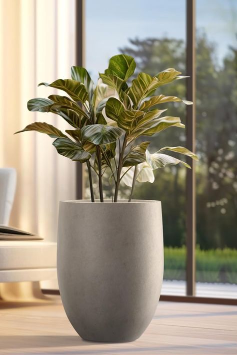 21.7" H Weathered Concrete Tall Planter  Large Outdoor Indoor Decorative Pot with Drainage Hole and Rubber Plug, Modern Round Style for Home and Garden Tall Plant Aesthetic, Big Ceramic Pots For Plants, Snake Plant Cylindrical, Snake Plant Tall Vase, Weathered Concrete, White Ceramic Pots For Plants, Tall Planters, Cement Planters, Tall Trees