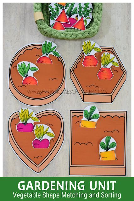 Gardening Preschool Mini Unit Seed Investigation Preschool, Gardening Unit Preschool, Gardening Creative Curriculum, Vegetable Theme Preschool, Preschool Garden Activities, Harvest Preschool, Gardening Preschool, Seeds Preschool, Prek Lessons