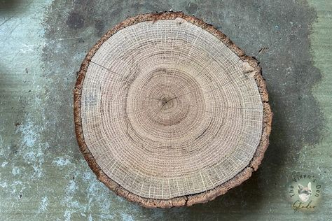 DIY Natural Food Safe Wood Slice Centerpieces - The Vixen's Den Studio How To Seal Wood Slices, Wood Slice Centerpieces, Expand Furniture, Disc Style, Wood Disc, Diy Centerpieces, Hemp Seed Oil, Diy Natural Products, Wood Slices