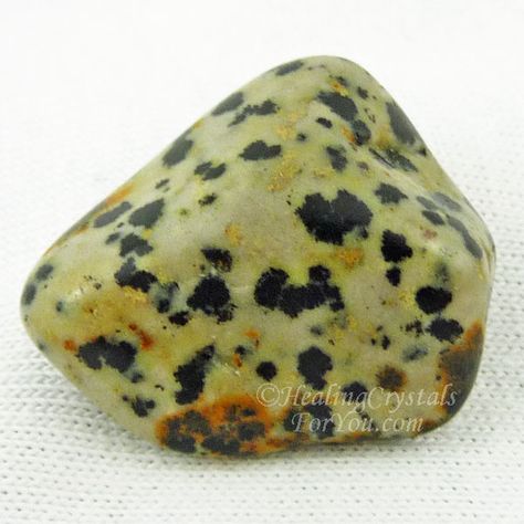 #Crystal #Properties #Meanings and #Uses #Dalmatian #Jasper aka #Dalmation #Stone creates #childlike #joy | helps to #remove #barriers to #moving #forward in life. | brings #faith in #others | helps you #discover your #true #purpose Dalmation Stone, Rock Bracelets, Jasper Meaning, Healing Crystals For You, Healing Crystals Meanings, Fossil Bones, Find Your Purpose, Earth Gift, Magical Thinking