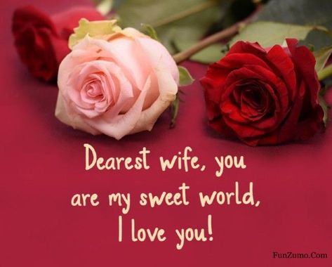 Love You Wife Quotes Beautiful, I Love You My Wife, Good Night Love Text, Good Morning Love Text, Romantic Quotes For Wife, Marriage Life Quotes, Romantic Lines, Birthday Gifts For Wife, Love Messages For Wife