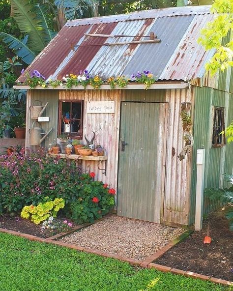 Rustic Shed Exterior Ideas, Potting Shed Exterior Ideas, Rustic Potting Shed, Renovated Shed, Pretty Garden Shed, Potting Shed Ideas, Cute Garden Shed, Cute Shed, Potting Sheds Exterior