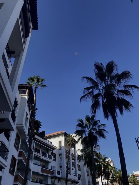 picture of some aesthetic white moroccan buildings  and palm trees. Jason Anderson, Jacob Anderson, Agadir Morocco, Morocco Aesthetic, Story Insta, Age 11, Travel Spots, Future Travel, My Trip