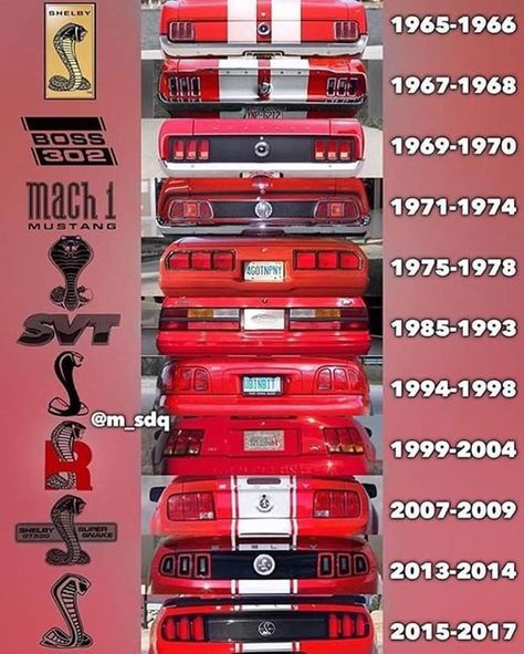 Muscle Cars Aesthetic, Ford Mustang History, Cars Evolution, Mustang Shelby Cobra, Mustang Classic, Crazy Cars, Transportation Art, Cars Aesthetic, Shelby Mustang