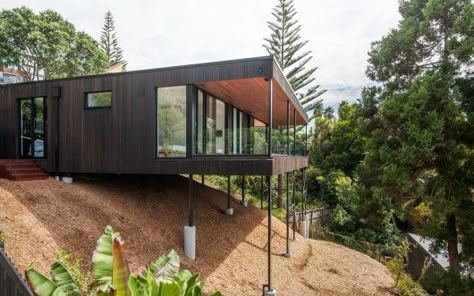 Ducansby Road, Red Beach, Auckland / Ltd Architectural. Image Courtesy of ADNZ Red Architecture, Pole House, Slope House, Architectural Design Studio, Hillside House, House On Stilts, Beach House Design, Forest House, A Hill