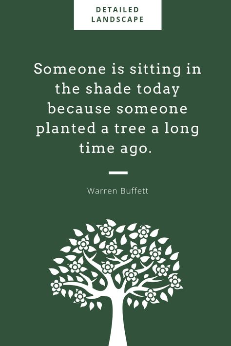 tree quote Planting Trees Quotes, Plant A Tree Quote, Champ Quotes, Tree Planting Quotes, Giving Tree Quotes, Importance Of Trees, Tree Quotes, Plants Quotes, Green Inspiration