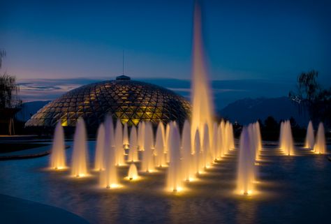 Bloedel Floral Conservatory, #Vancouver B.C http://bclifestyle.ca/ Bloedel Conservatory, Vancouver Canada, Vancouver Bc, Cloud Gate, Ottawa, British Columbia, Fine Art Photography, Montreal, Vancouver