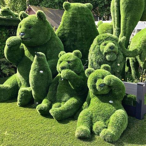 mamun on Twitter: "… " Taman Air, Grass Garden, Sculpture Design, Topiary Garden, Grasses Garden, Chelsea Flower, Chelsea Flower Show, Flower Show, The Grass