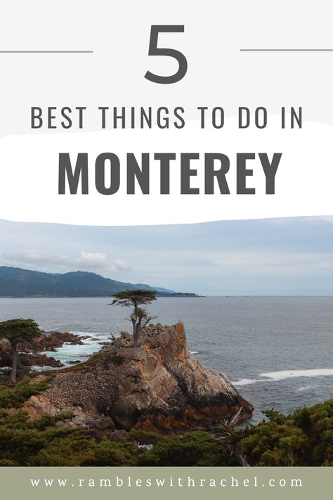 Are you traveling to California and stopping in Monterey? Maybe you're doing a California road trip along the coast or maybe you're looking for the perfect weekend getaway. There are lots of fun things to do in Monterey, CA, such as going to the Monterey Bay Aquarium and driving the 17-Mile Drive! Monterey Aquarium California, What To Do In Monterey Ca, Monterey Car Week, Cannery Row Monterey, Monterey Aquarium, Monterey Beach, Monterey Bay California, California Roadtrip, Cannery Row