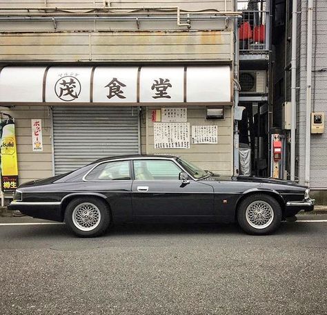 Jaguar XJS La Bedroom, Car Side View, Europe Car, Jaguar Xjs, Jaguar (cars), Jaguar Daimler, Jaguar Cars, Jaguar Models, Old Race Cars