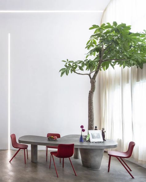 Vietnamese Apartment, Modernist Interior Design, Table With Tree, Table With Plants, Plant Office Design, Japandi Apartment, Business Office Design, Modernist Interior, Photography Home Decor